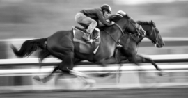Simon Dow – Dream Love 14/12/16 1st 50/1 – Lingfield Park